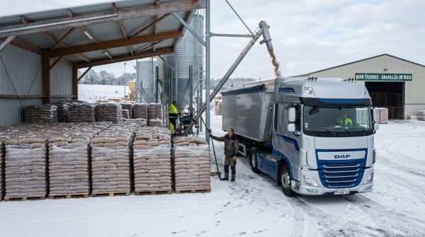 Prix des pellets : tendances et prévisions pour l'hiver